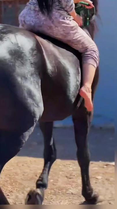 فيديو متنوعة #8462